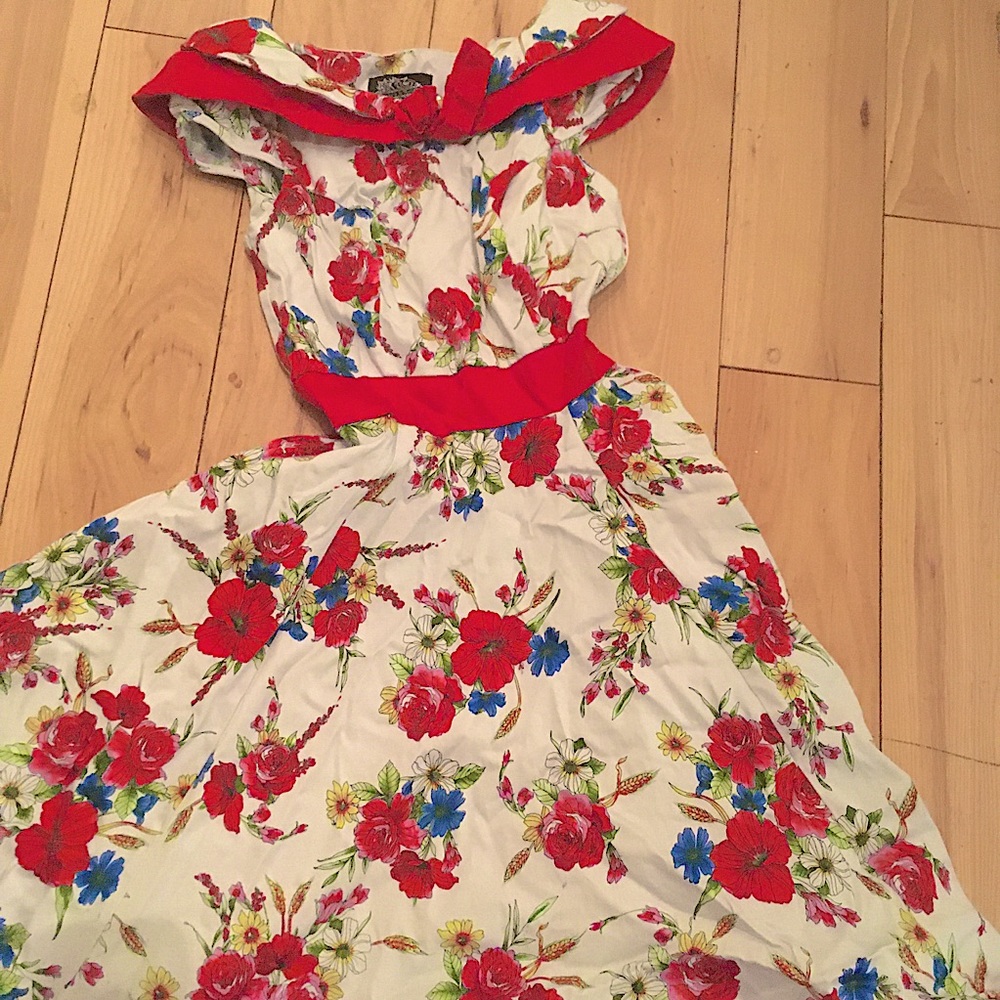 Hearts and Roses Swing Dress